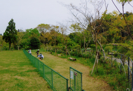 �h�b�O����