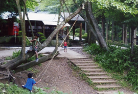 �u�����R