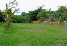 �o�h�~���g��