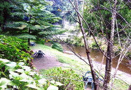 DAY�L�����v