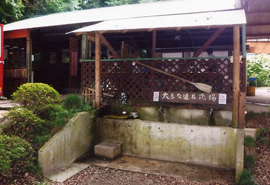 �L�����v�p�i�􂢏�