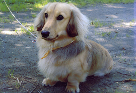 �N�E�����