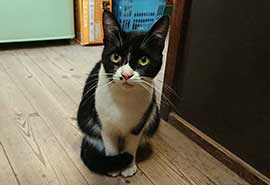 �I�Z����