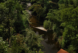 �����炵�䂩��̒���