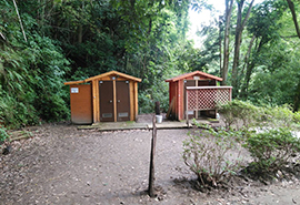 ���o�[�T�C�g�g�C��