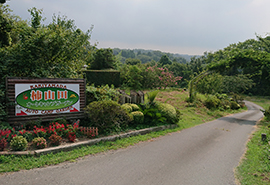 �����A�[�`