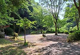 ���o�[�T�C�g