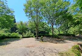 ���o�[�T�C�g